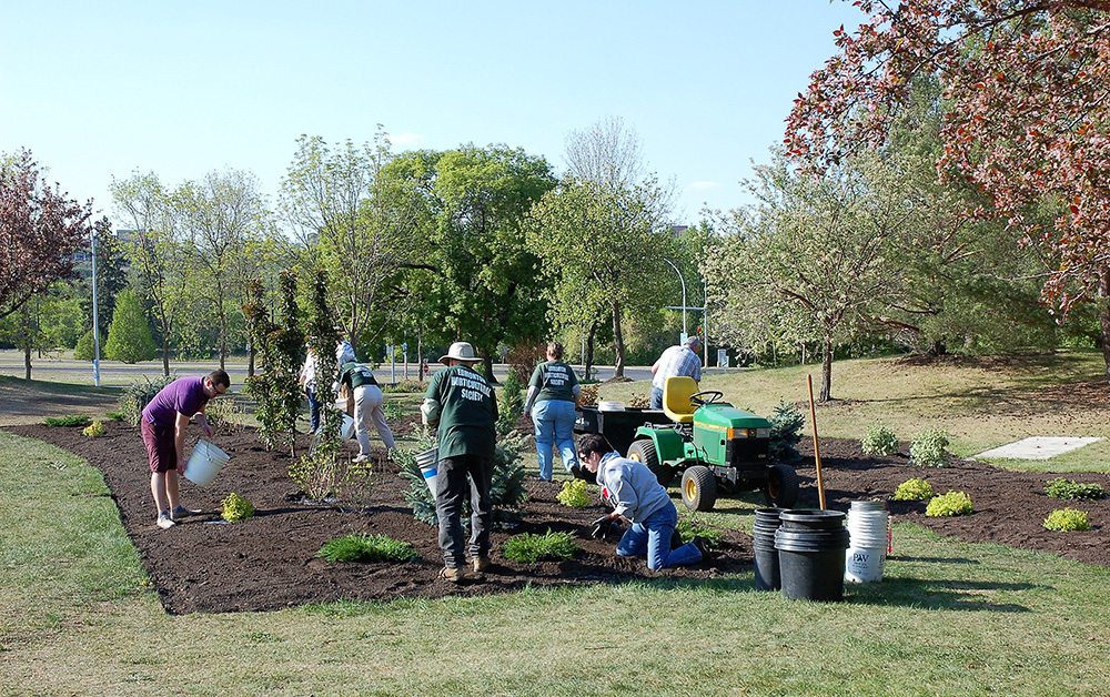 Why Volunteer? – Edmonton Horticultural Society
