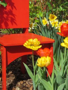 Art in the Garden: 3rd: Linda Harris