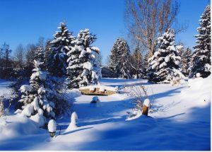 Winter: 3rd Place: Wilf Maul