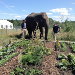 EHS gardens at the zoo