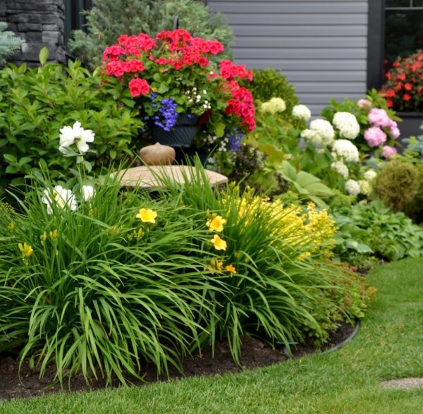 perennial bed