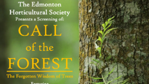 poster for a screening of Call of the Forest