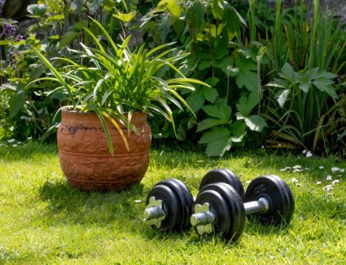 Cultivating Strength for the Garden