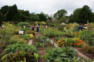 A kitchen garden featuring raised beds and a combination of vegetables and flowers.