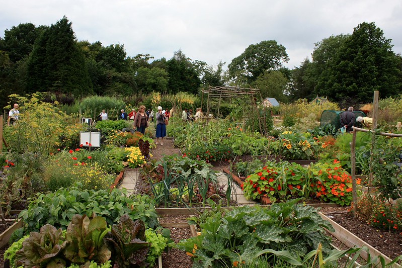 7988788937_291e7a18f4_c A kitchen garden featuring raised beds and a combination of vegetables and flowers.