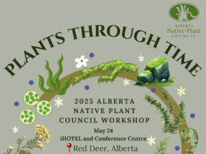 poster for ANPC workshop. Cropped