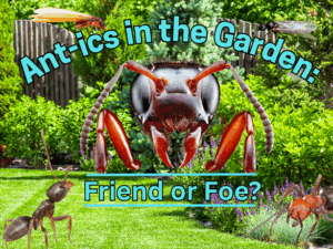 ants superimposed on a picture of a garden