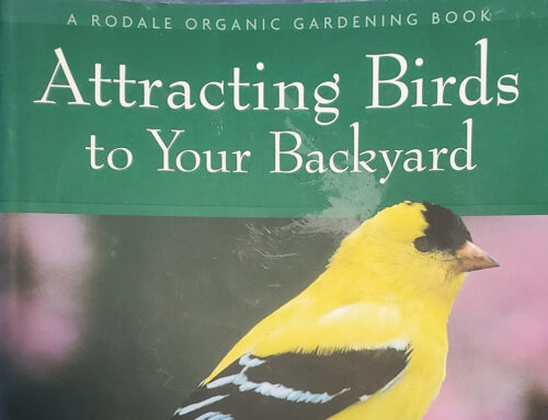 Book Review: Attracting Birds to Your Backyard