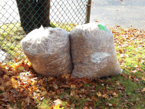 two bags of fall leaves