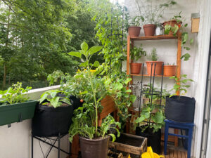 A balcony with lots of potted plants