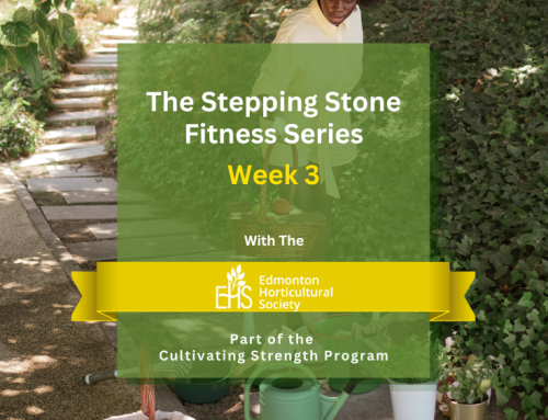 Stepping Stone Series Week 3