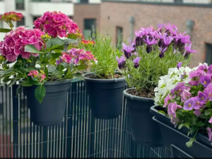 colourful pots hanging on the railing of a balcony