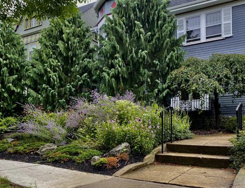 English Cottage Garden – Old World Meets New