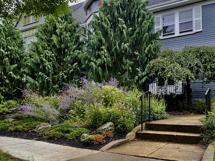 A cottage style garden with layers and drifts of plants