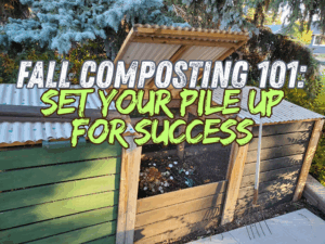 cover photo for fall composting article