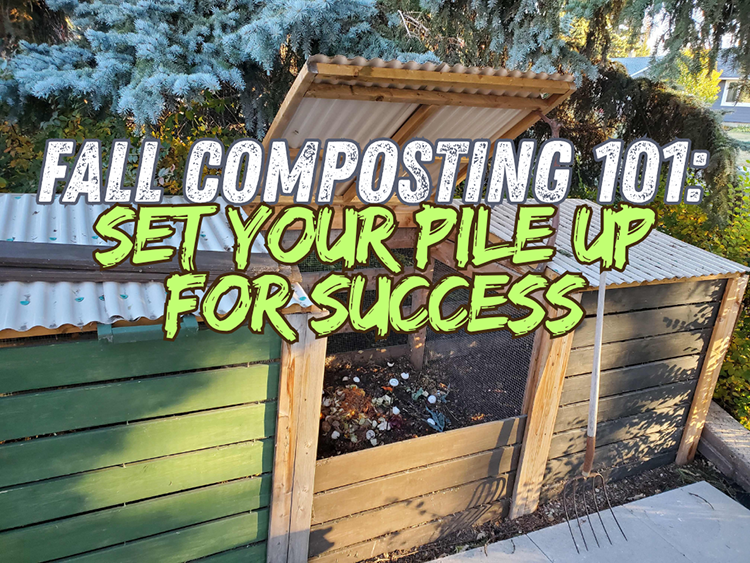 cover photo for fall composting article
