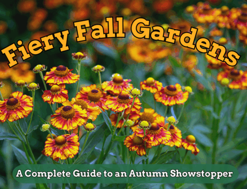 Fiery Fall Gardens