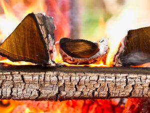 a fire in a fireplace