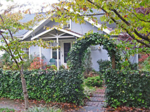 A grey house with white trim and a green hedge in front. The entrance to the yard has an arch over it.