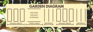 A garden planting plan diagram