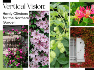 cover for hardy climbers article