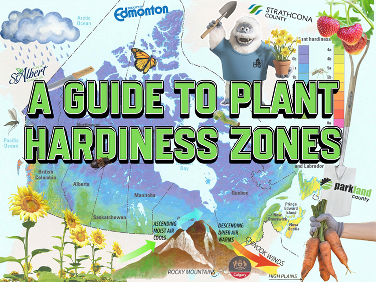 Cover for A Guide to Plant Hardiness Zones