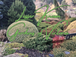 A garden bed featuring pruned shrubs and evergreens with caption Lesser Known Gardens of Victoria