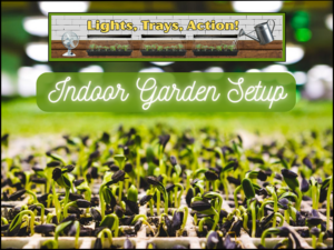 indoor garden setup