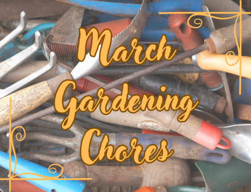 March Gardening Chores