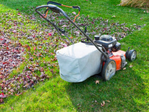 Using a lawn mower to mulch leaves in fall.