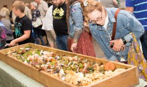 People examining a large box filled with a variety of mushrooms