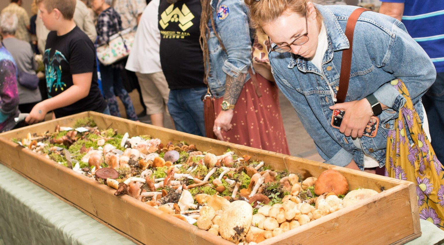 People examining a large box filled with a variety of mushrooms