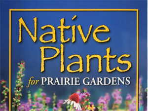 cropped version of the cover of Native Plants for Prairie Gardens by June Flanagan
