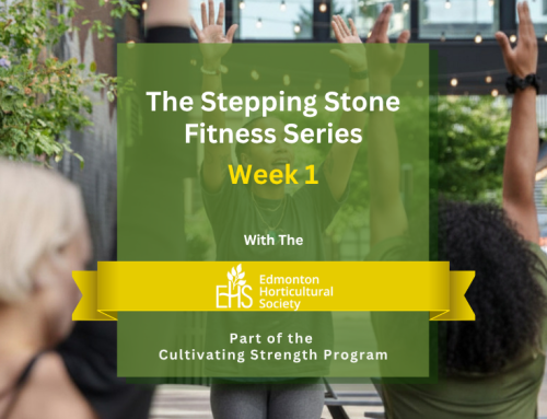 Stepping Stone Fitness Series Week 1