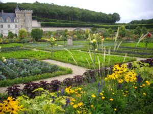 A panoramic view of the potager at Villandry.