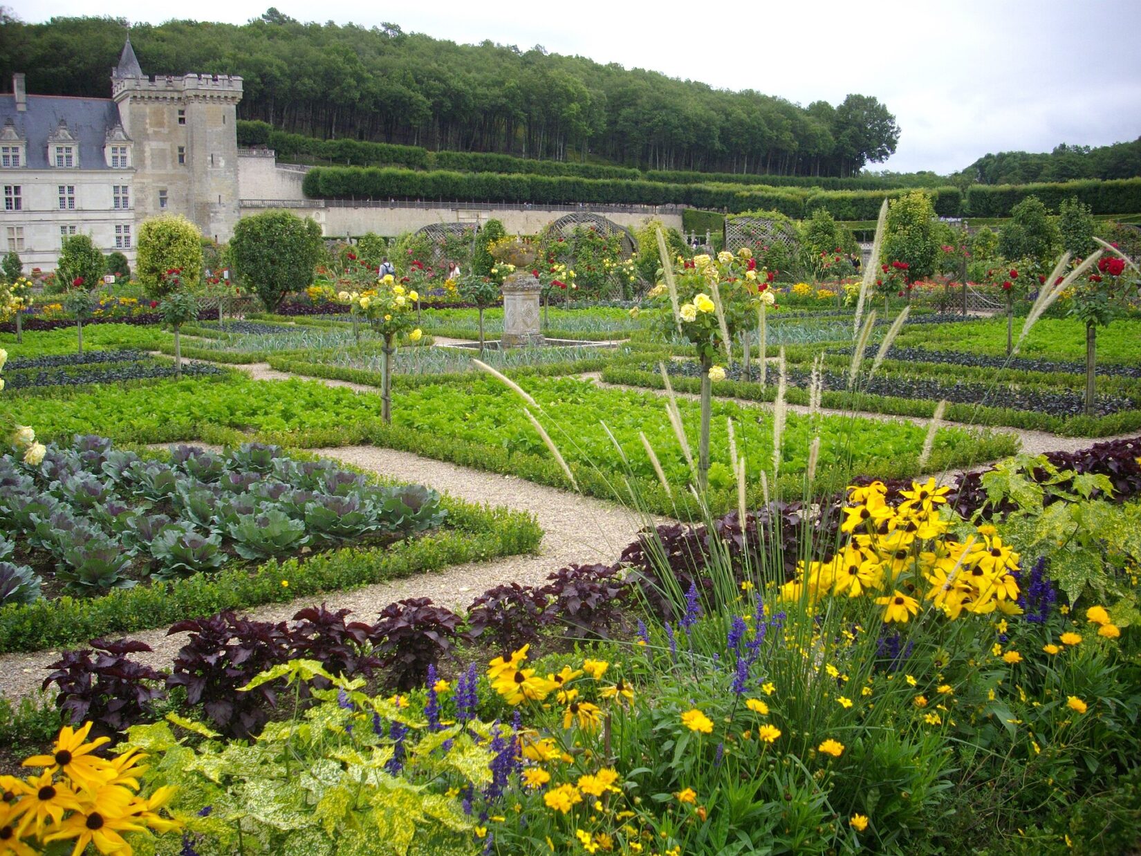Figure 1: “File:Villandry – château, potager (03).jpg” by Fab5669 A panoramic view of the potager at Villandry.