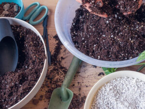 bowls of ingredients for potting soil
