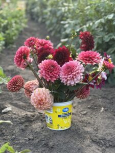 a bouquet of dahlia flowers