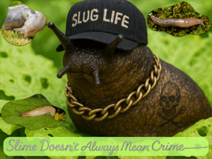 A slug wearing a gold chain, baseball cap, and with a tattoo of a skull and crossbones