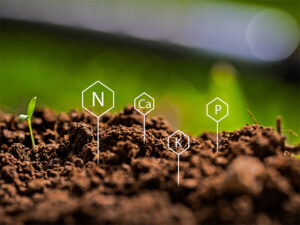 Soil nutrients