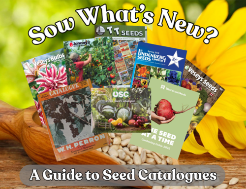 A Guide to Seed Catalogues