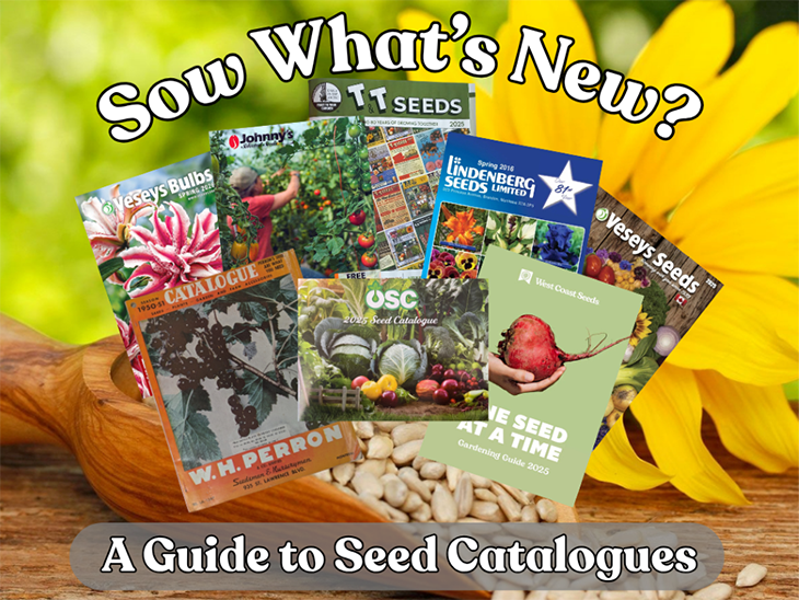 a montage of seed catalogues