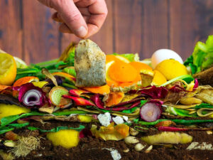 a tea bag being added to a compost pile