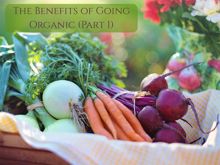 a basket of beautiful vegetables