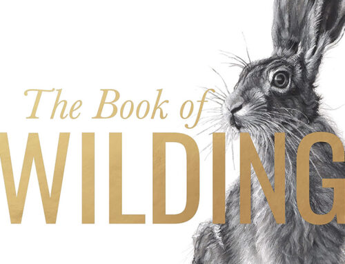 Book Review: The Book of Wilding