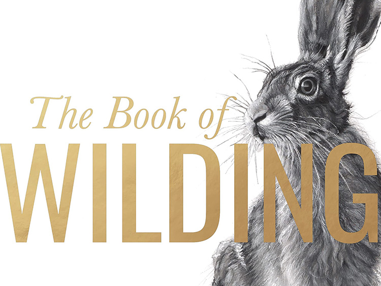Cropped version of the cover of the Book of Wilding