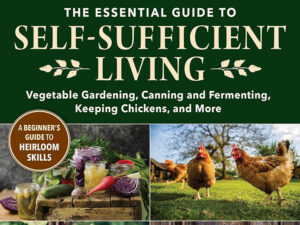 Self Sufficient Living cover crop