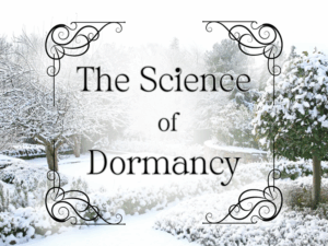 The Science of Dormancy