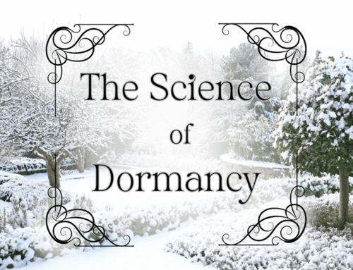 The Science of Dormancy