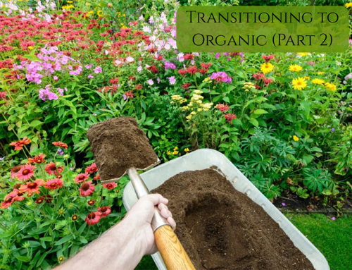 Transitioning to Organic Gardening